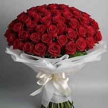 Букет 101 Красная роза Блэк Мэджик #REPLACE_PRED# Кубинке