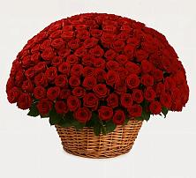 Премиум букет из: Розы в Кубинке